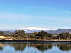 agua del deshielo procedente de los pirineos