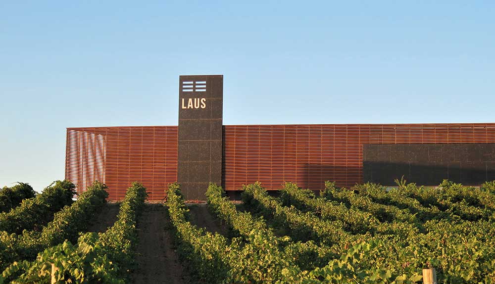 Finaliza su nuestra vendimia 2022: más breve y de excelente calidad